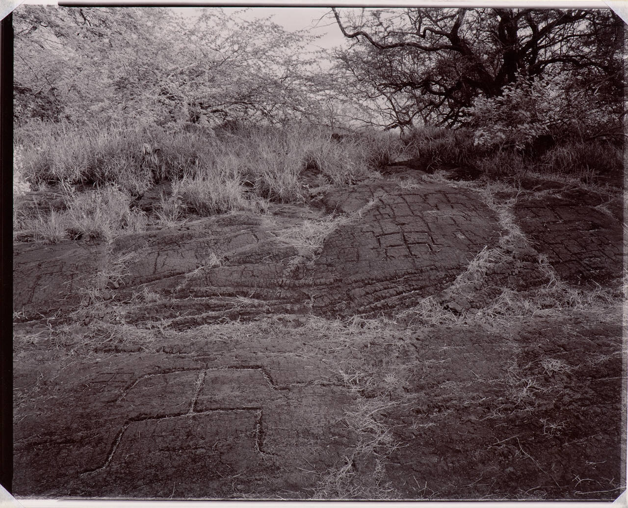 Petroglyphs, Kona, Hawaii