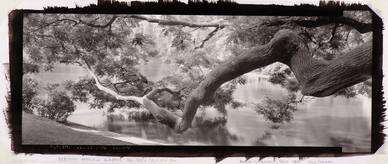Buttes-Chaumont, Paris
