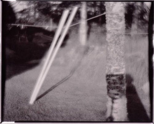 untitled (two poles of light leaning against clothes line, tree foreground right)