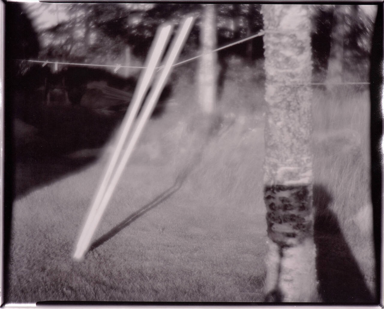 untitled (two poles of light leaning against clothes line, tree foreground right)