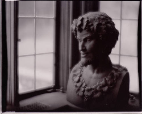 untitled (bust)