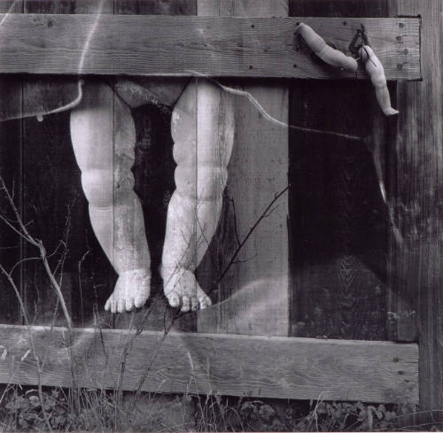 The Fence in Mendocino