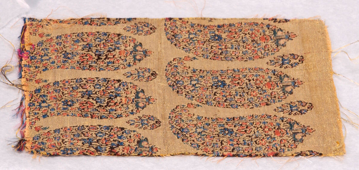 Fragment