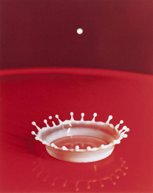 Splash of a Milk Drop