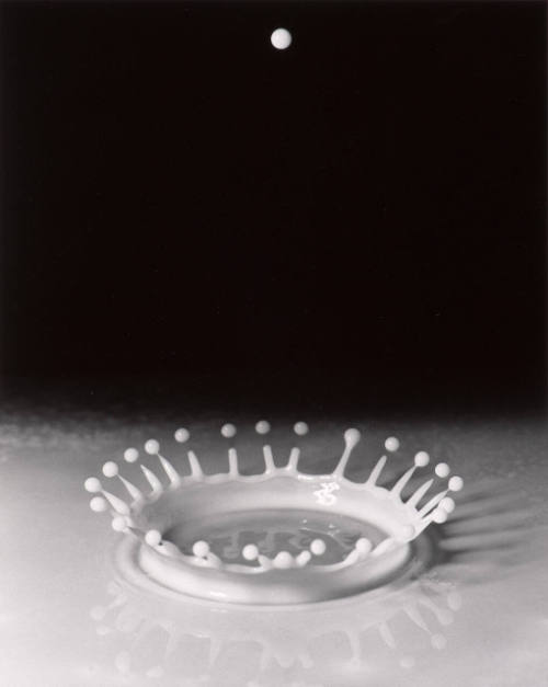 Milk Drop Coronet