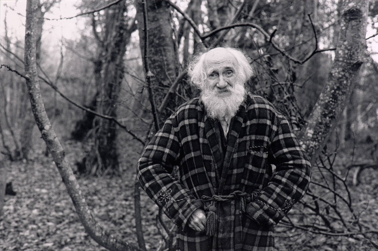 Older man in woods
