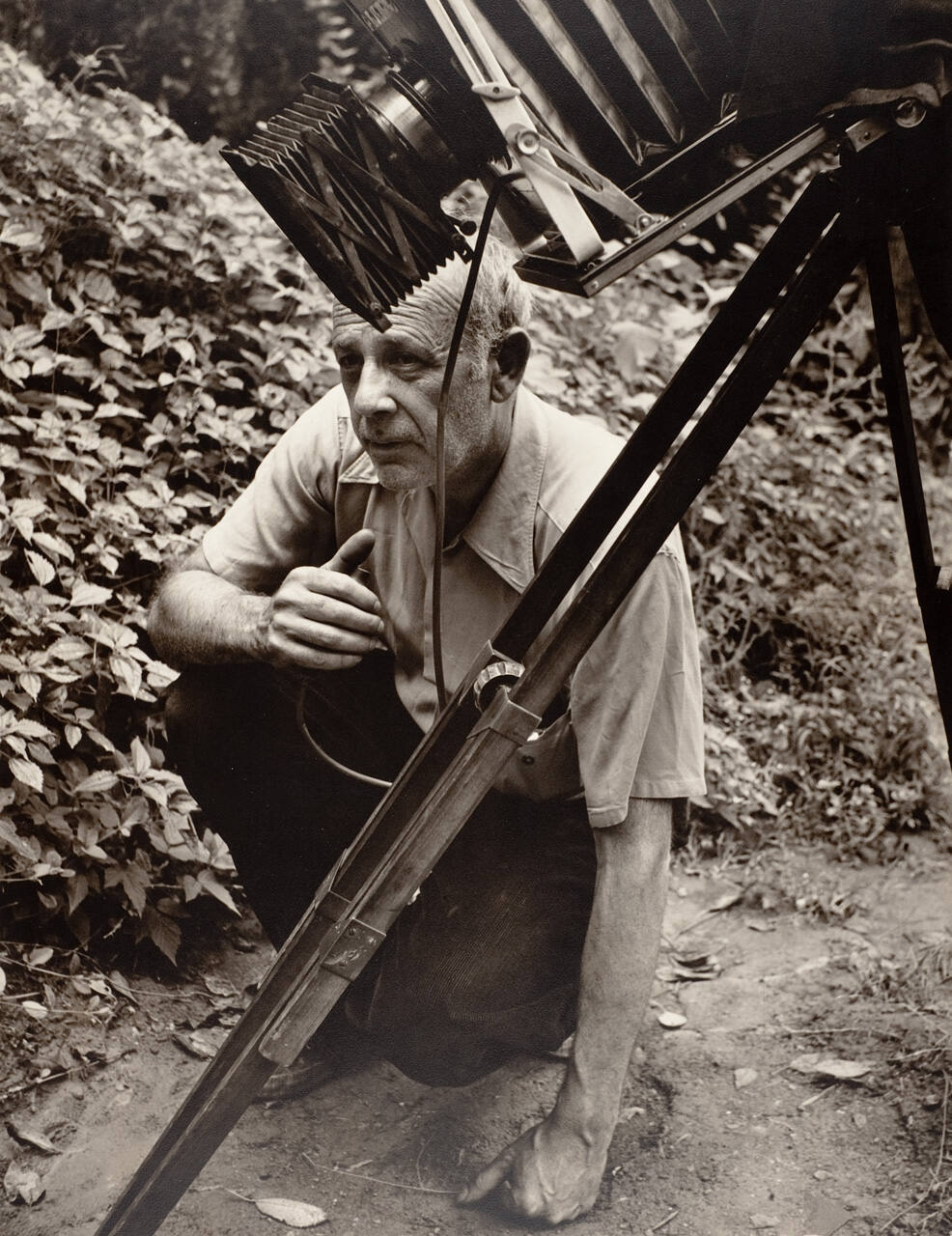 Paul Strand, New Jersey