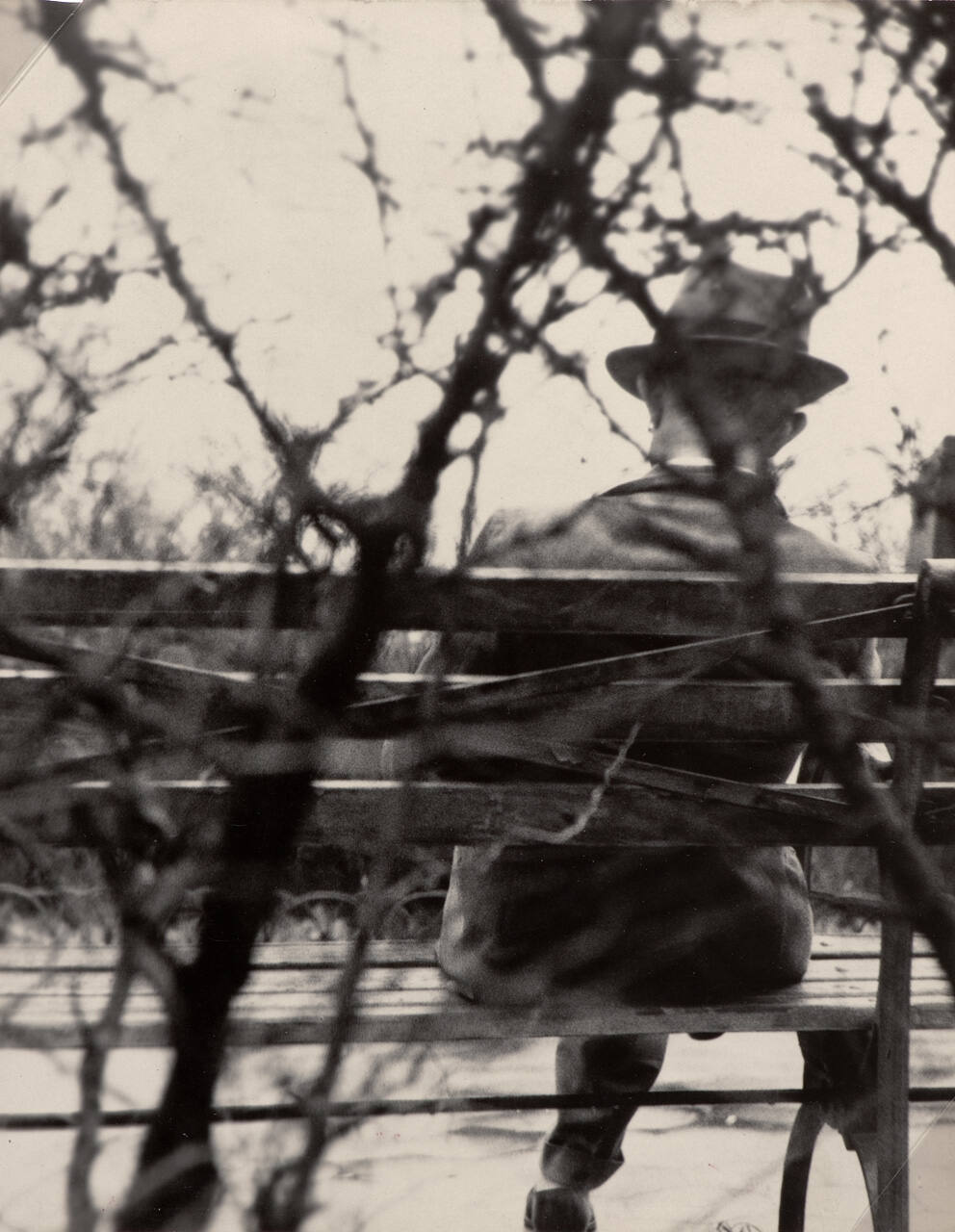 Untitled (man on park bench)