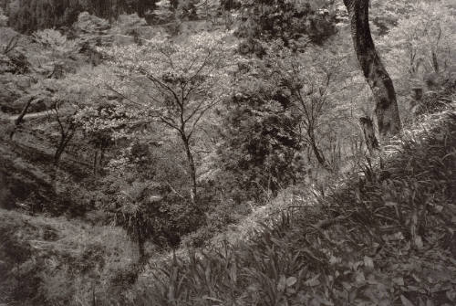 Yoshino, Japan