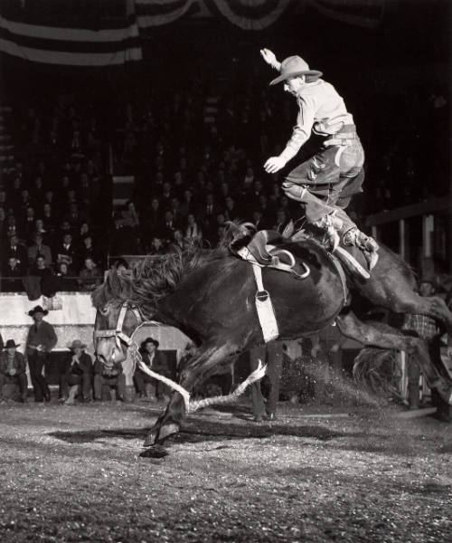 Moscow Circus