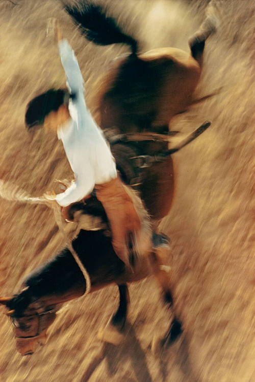 Bronco Rider, California