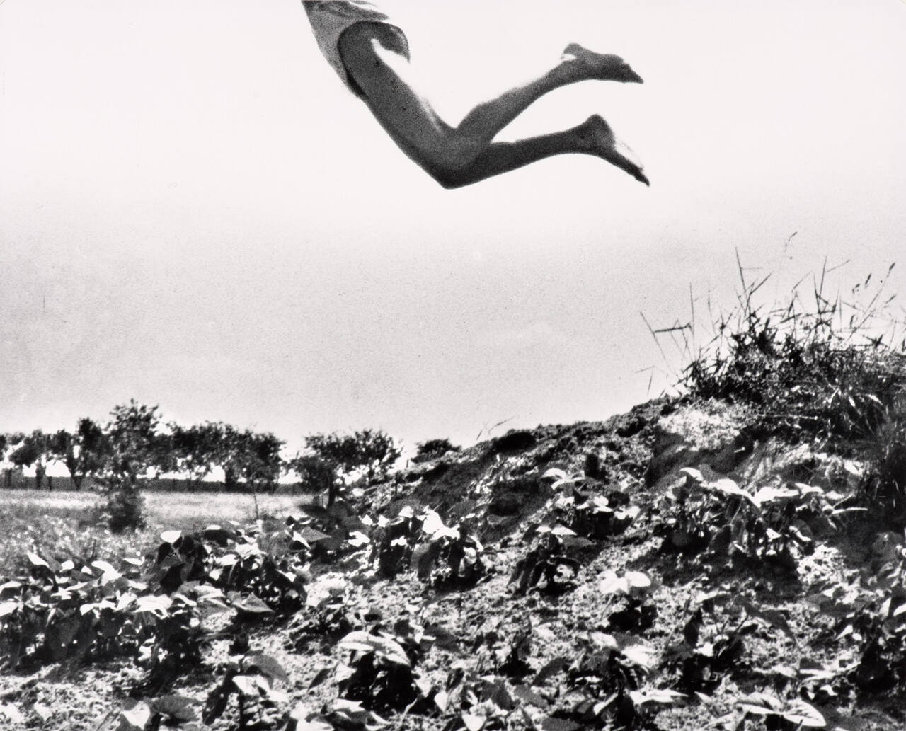 Icarus, May 20, 1920