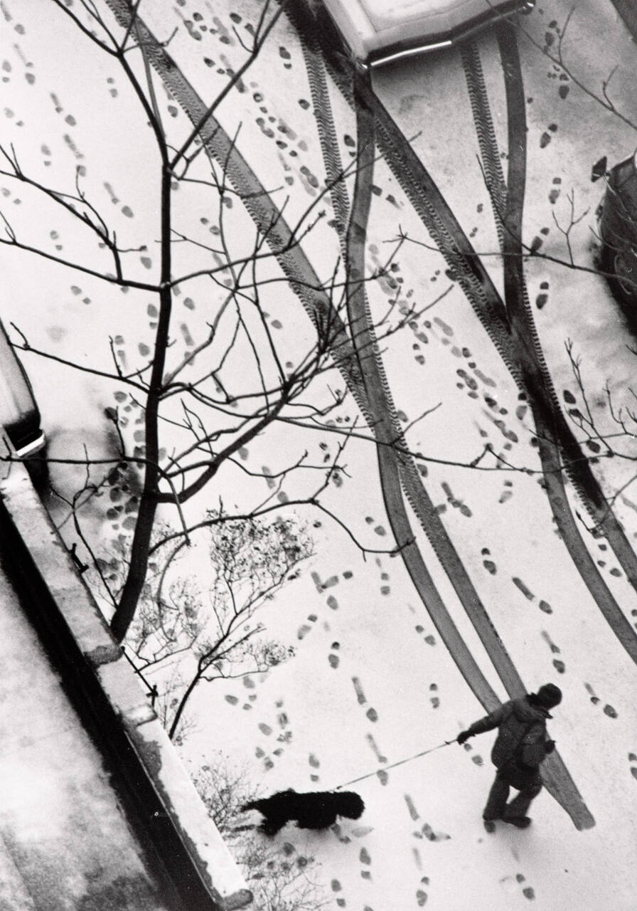 Untitled, No. 8