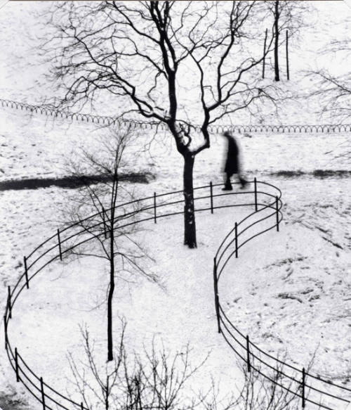 Washington Square