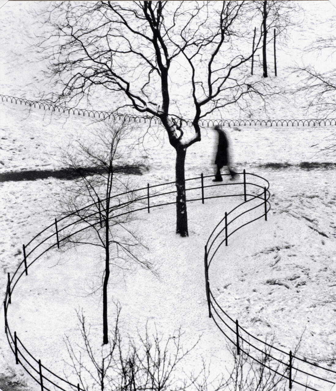 Washington Square