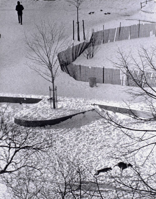 New Year's Day, New York