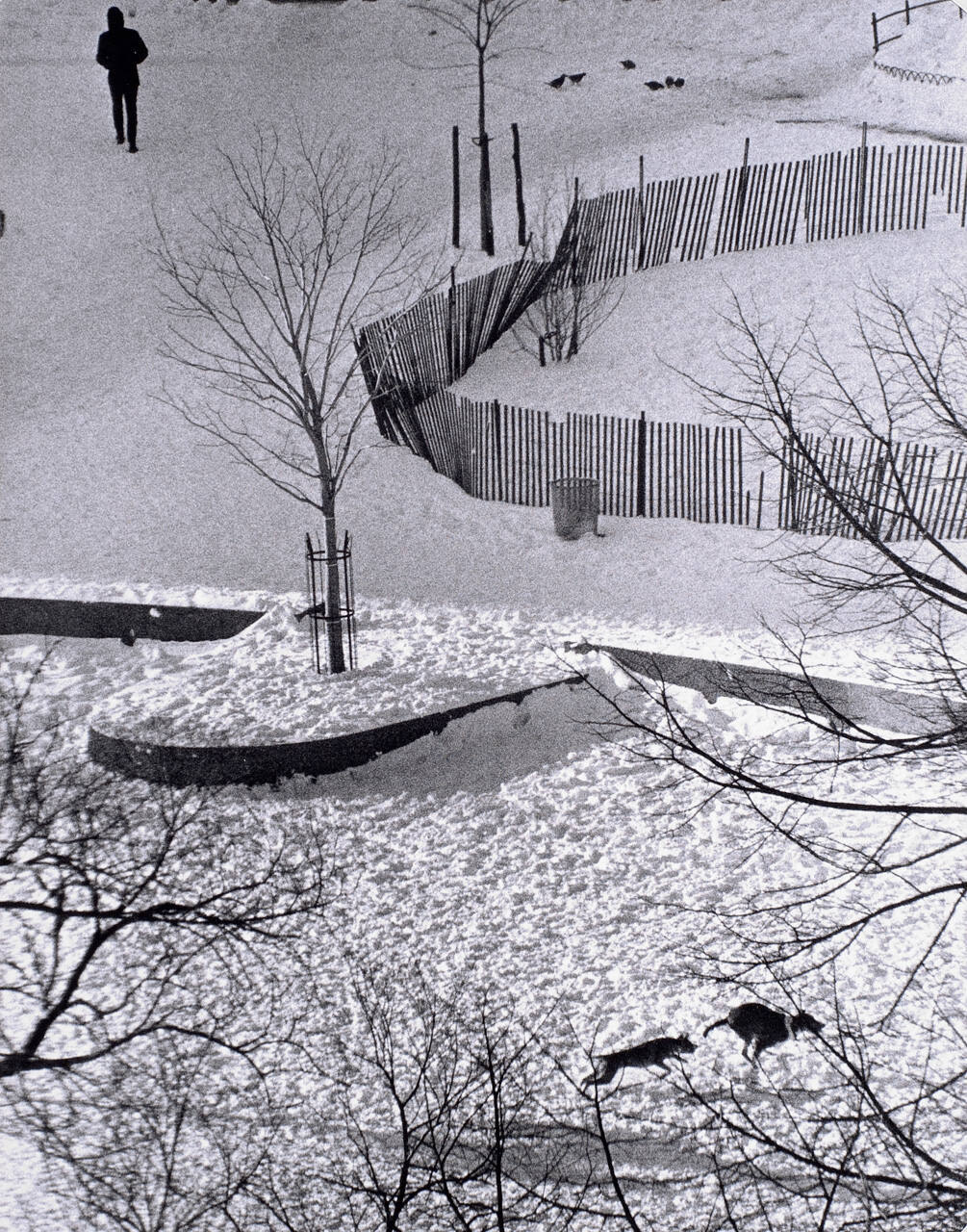 New Year's Day, New York
