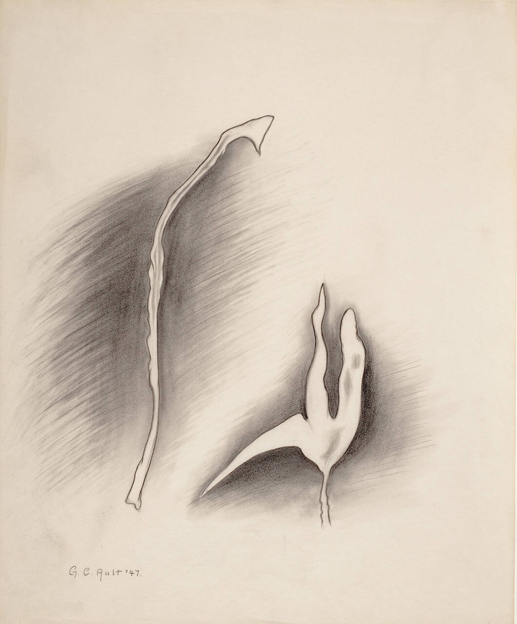 Biomorphic Forms
