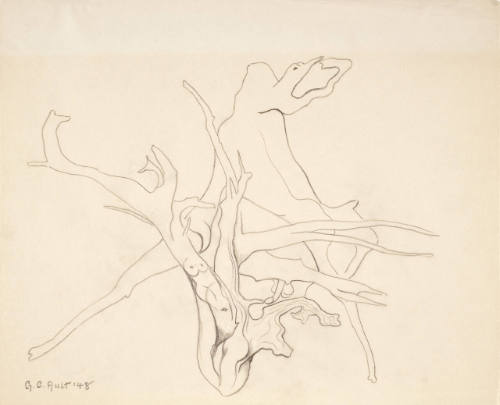 Untitled (abstract and biomorphic forms)
