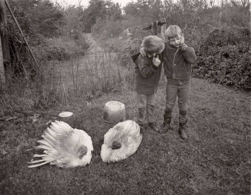 Barry, Dwayne and Turkeys, Danville, Virginia