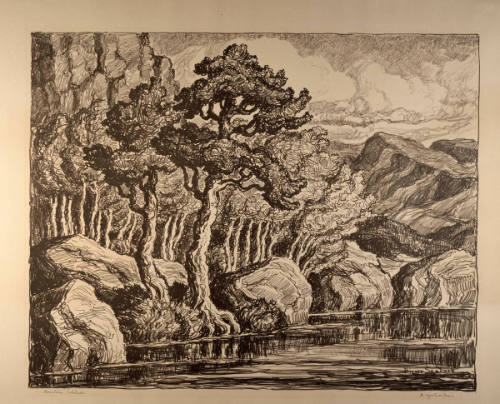 Mountain Solitude