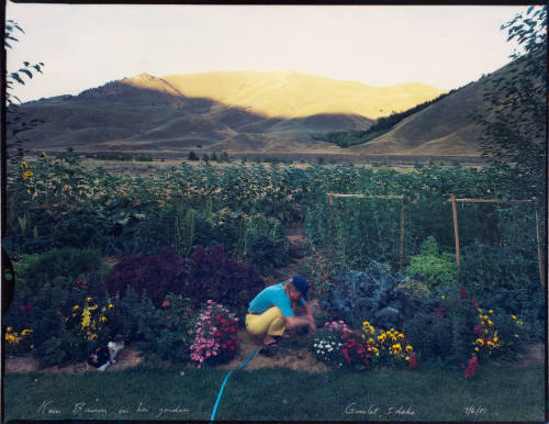 Kem Brown in her garden, Gimlet, Idaho, 9/6/81