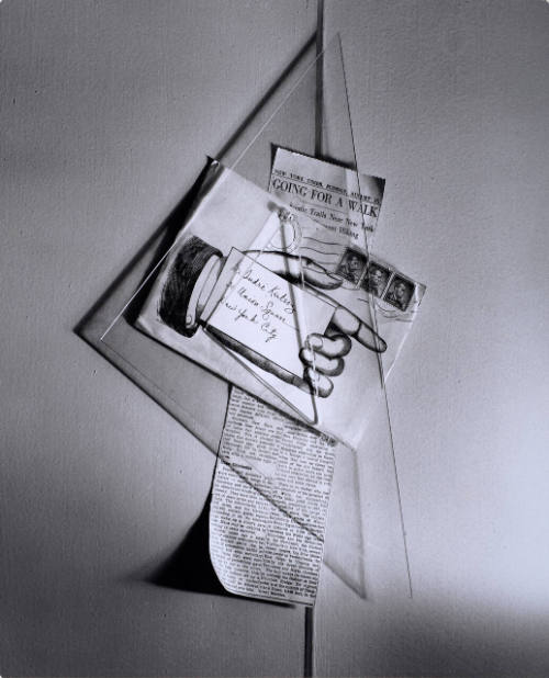 Going for a Walk, Still-Life, New York