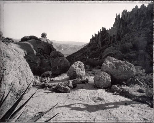 Pausing to Drink:  Peralta Creek Trail, Superstition Mountains, Arizona