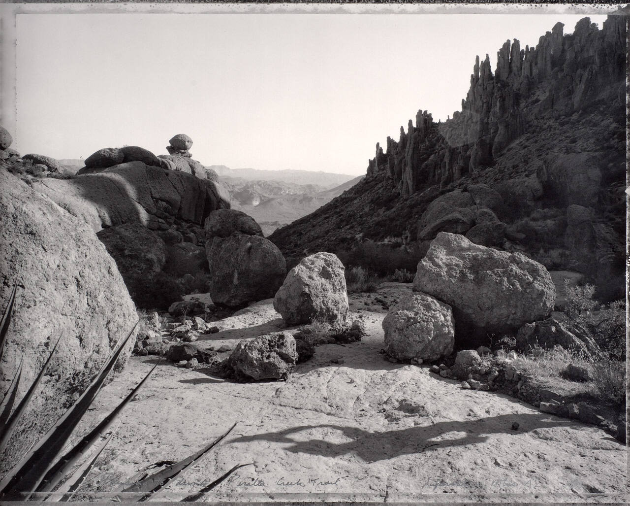 Pausing to Drink:  Peralta Creek Trail, Superstition Mountains, Arizona