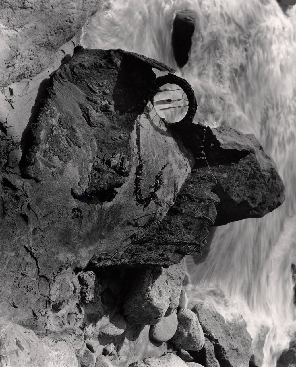 Head of Oceanus (The Throne of the Sea; Head of a Sea Monster)