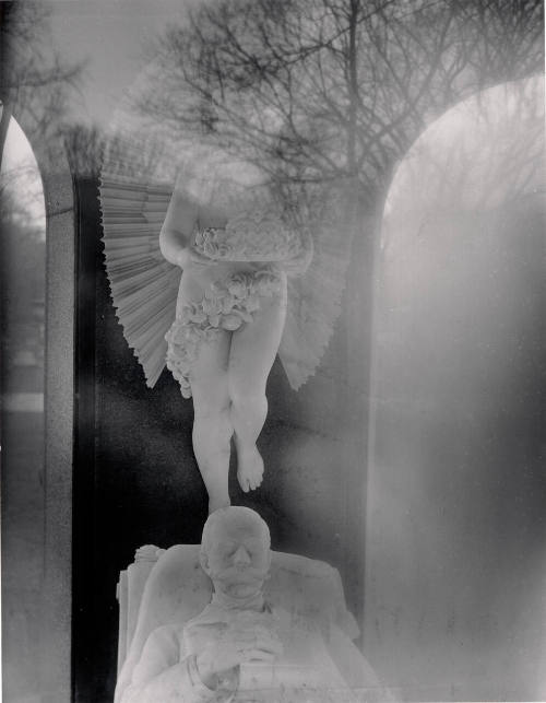 A Vision of Dead Desire