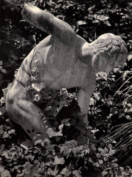 The Bashful Discus Thrower