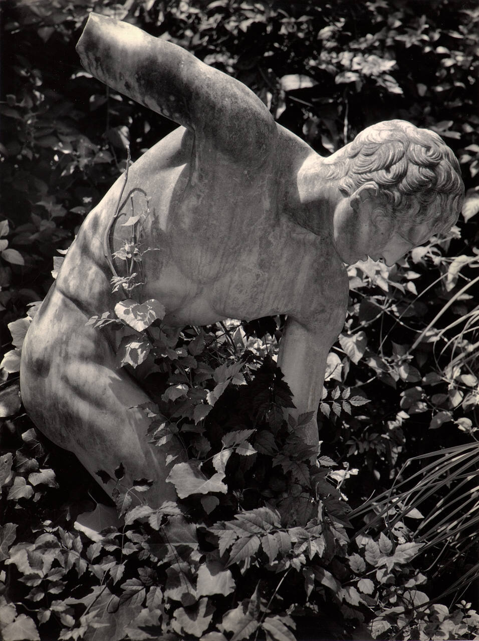 The Bashful Discus Thrower