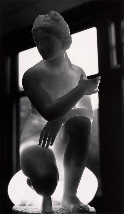 Victorian Venus