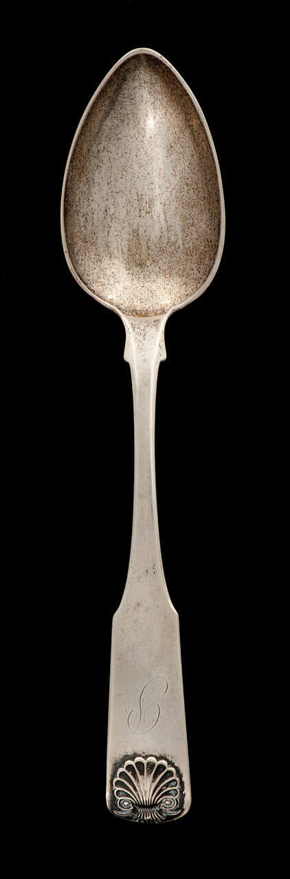Soup Spoon