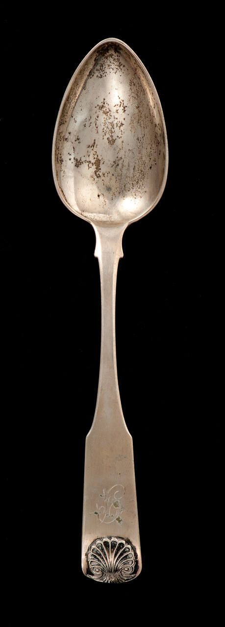 Soup Spoon
