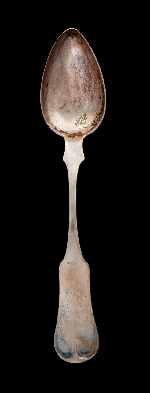 Soup Spoon