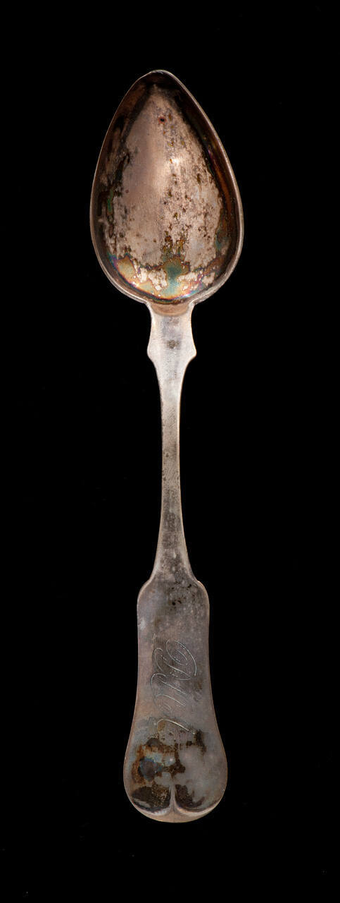 Soup Spoon