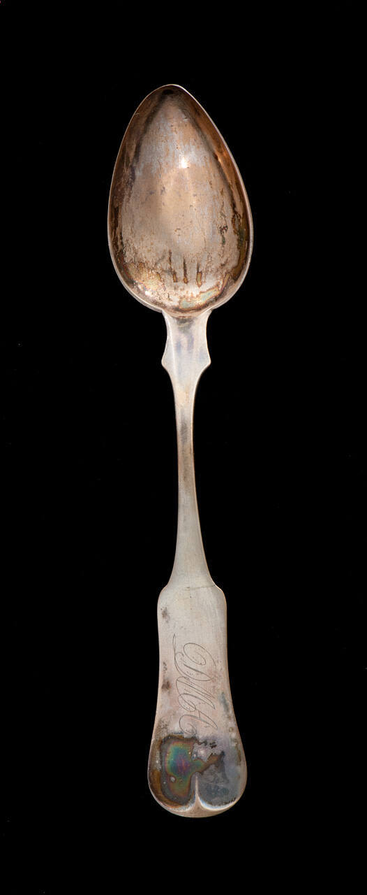 Soup Spoon