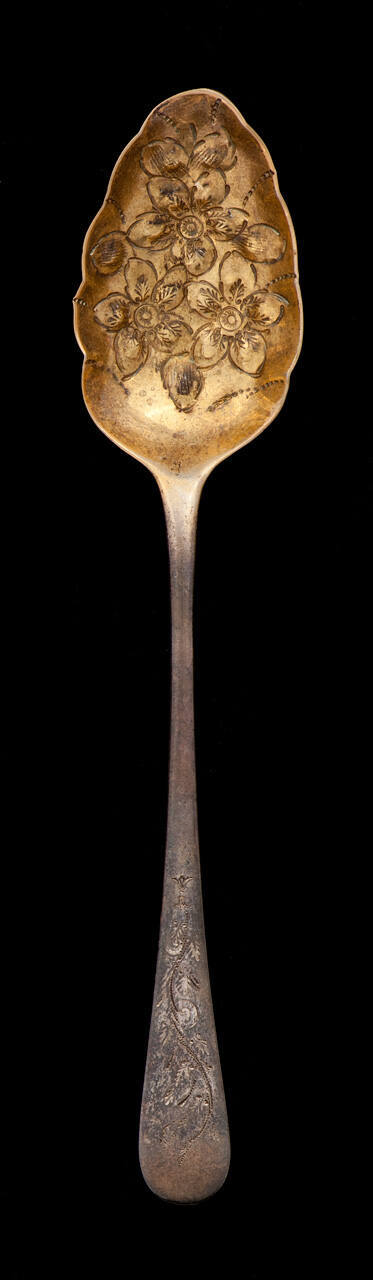 Fruit Spoon