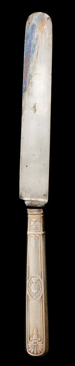Dinner Knife