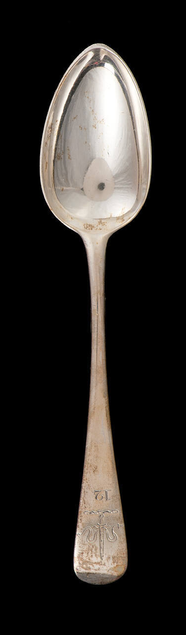 Tea or Coffee Spoon