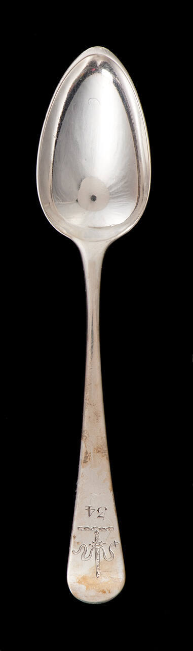Tea or Coffee Spoon