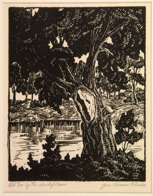 Old Tree by the Smoky River