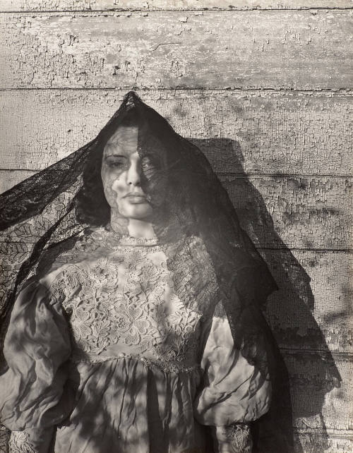 The Haunting Gaze (Gloria Simon, Poem of Imprinted Lace #5)