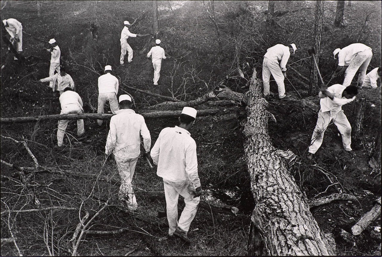 Clearing Land, Ellis Unit