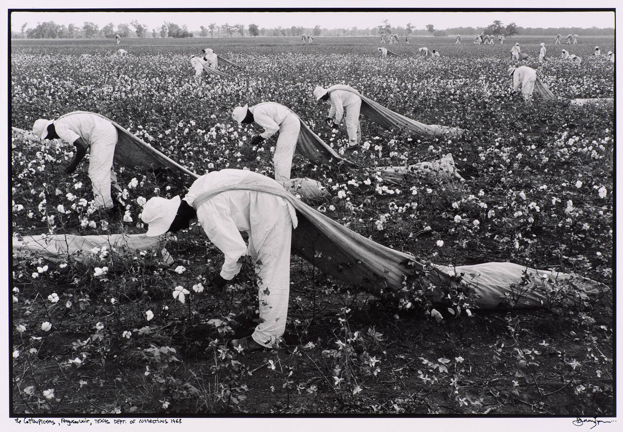 The Cotton Pickers, Ferguson Unit, Texas Department of Corrections