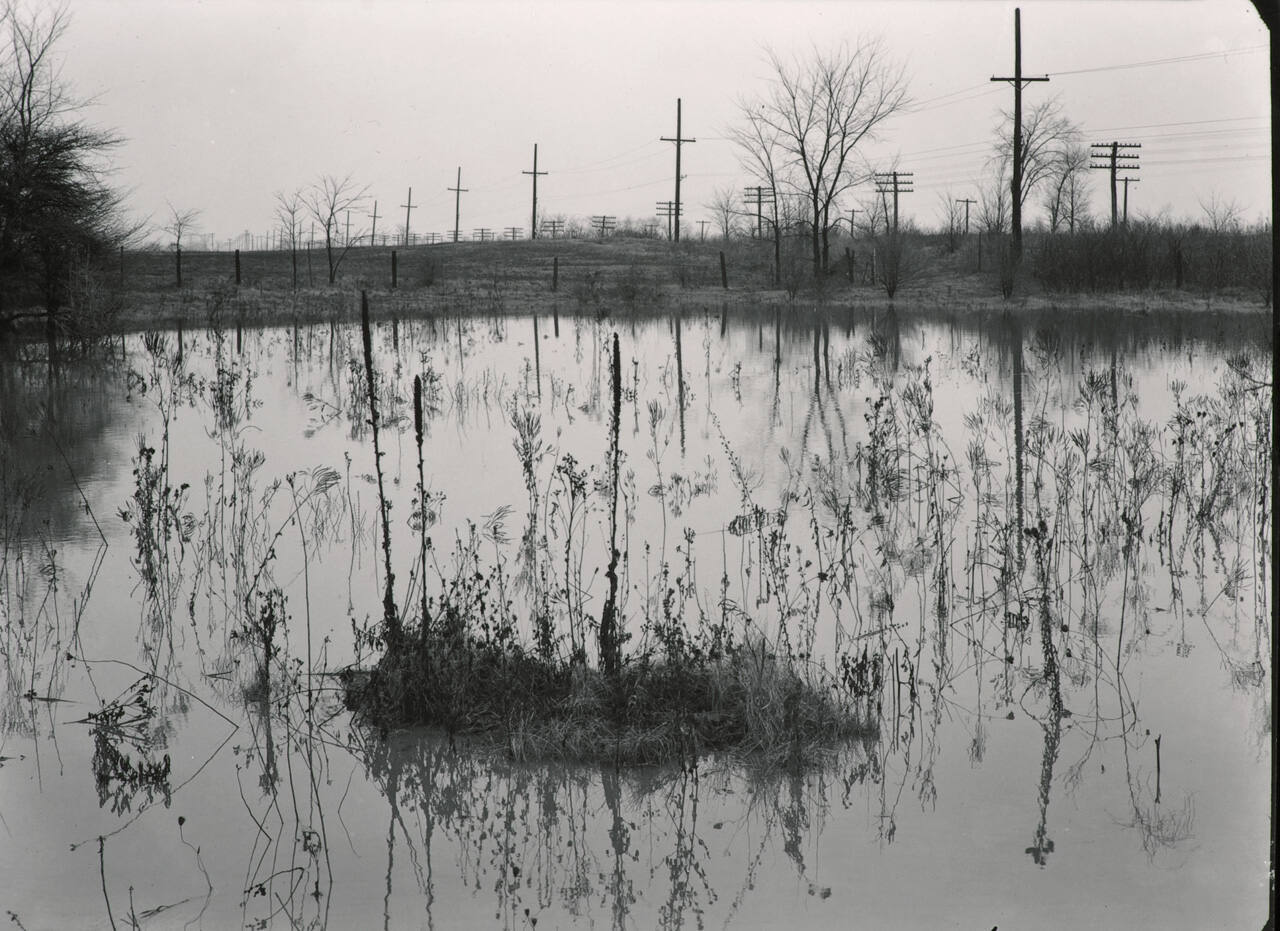 Detroit