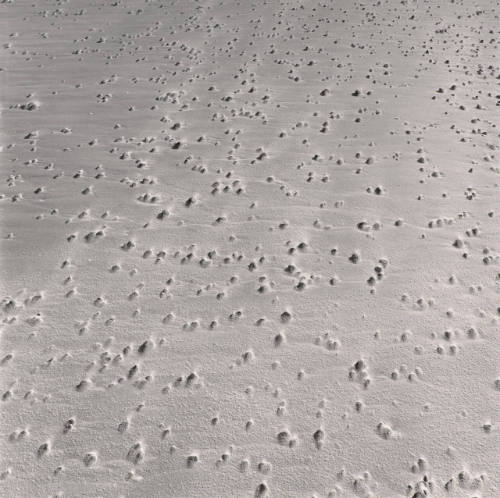Horseneck Beach