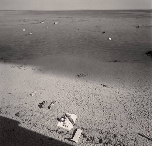 Cape Cod